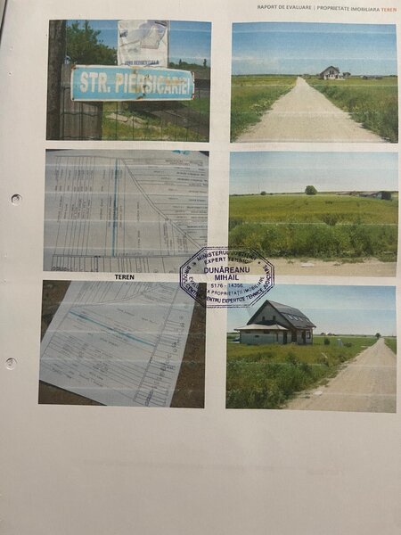 Peris Ilfov, Strada Piersicariei